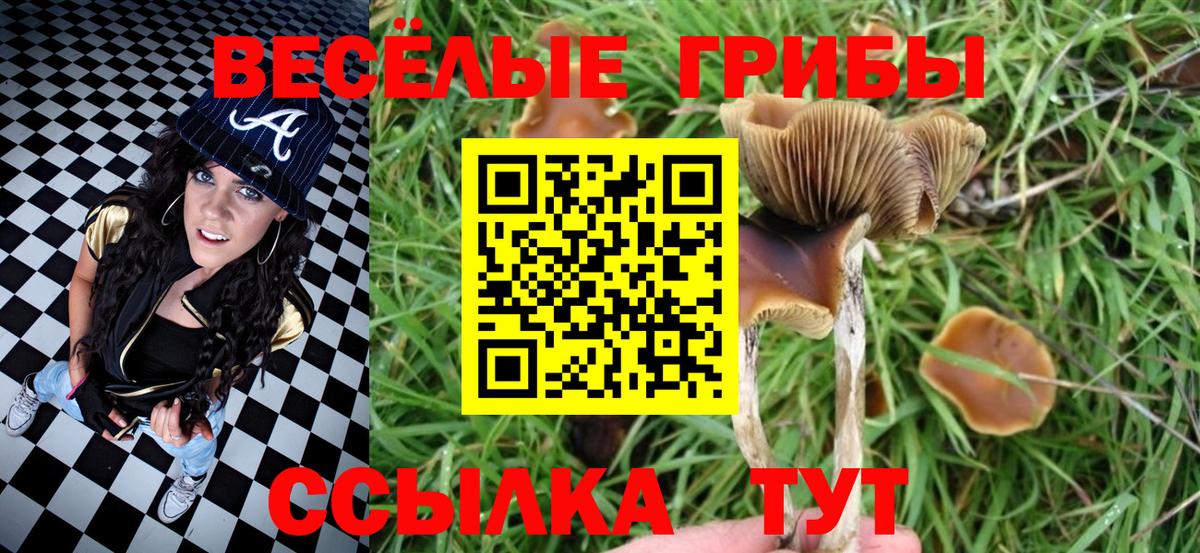 Псилоцибиновые грибы Psilocybe Чебаркуль