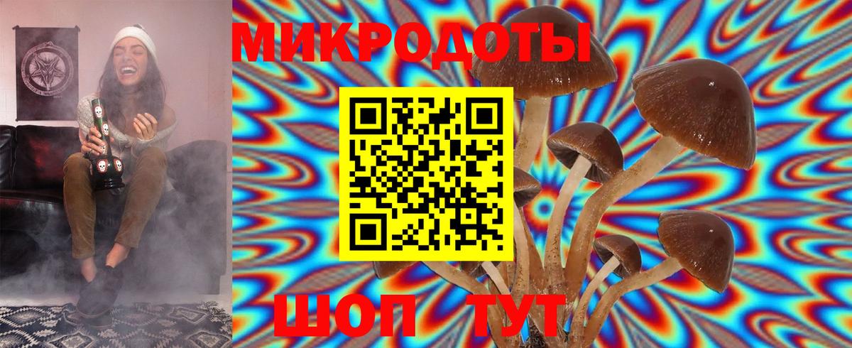 Чебаркуль  Псилоцибиновые грибы Magic Shrooms  Вход с VPN 